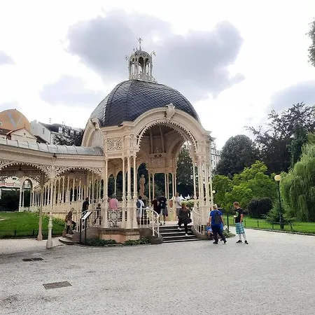 Hot Spring Appartamento Karlovy Vary