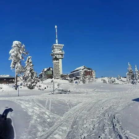 Hot Spring Апартаменты Карловы Вары