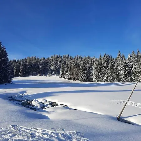 Appartamento Hot Spring Karlovy Vary