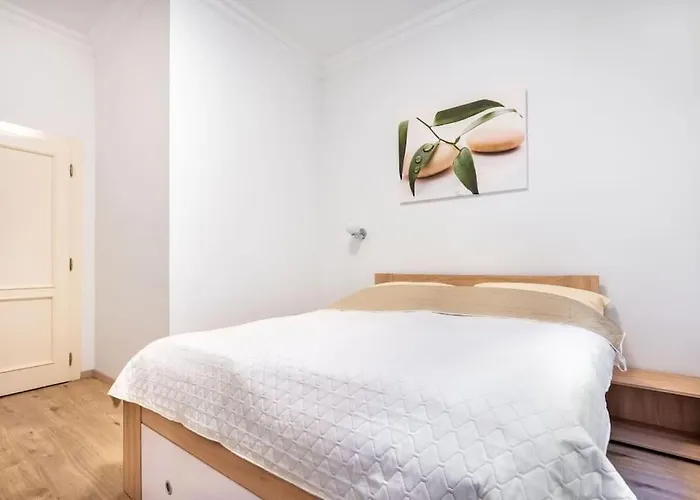 Hot Spring شقة كارلوفي فاري
